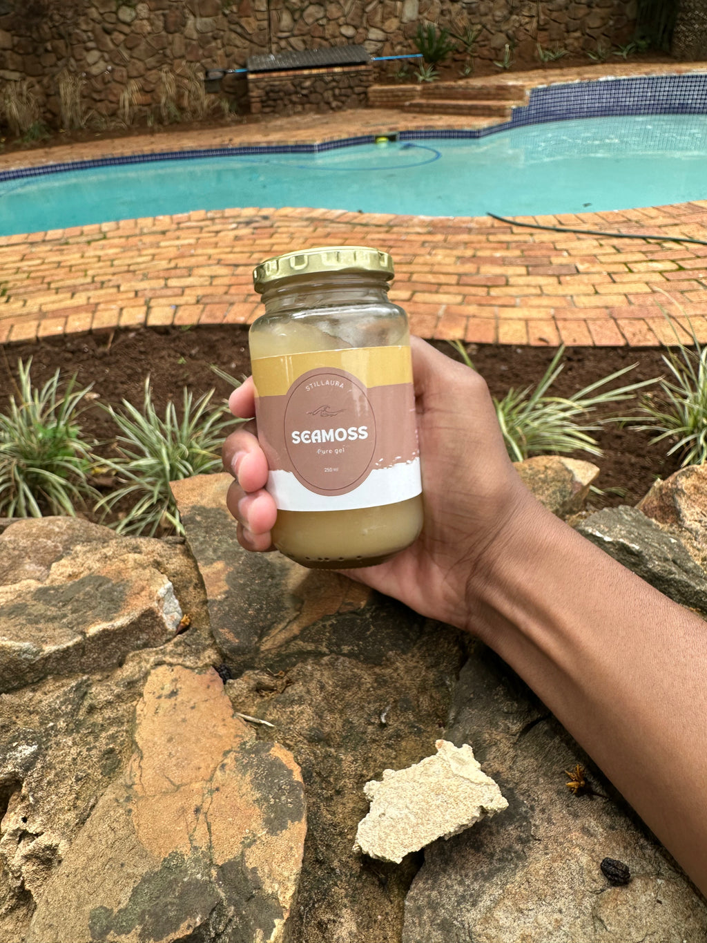 Premium Original Pure Sea Moss Gel (250 ml)